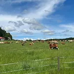 Hnizdo Na Hurce Feriehus Horní Planá