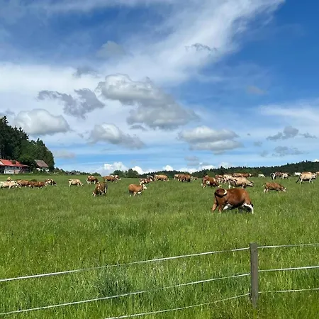 Hnizdo Na Hurce Prázdninový dům Horní Planá