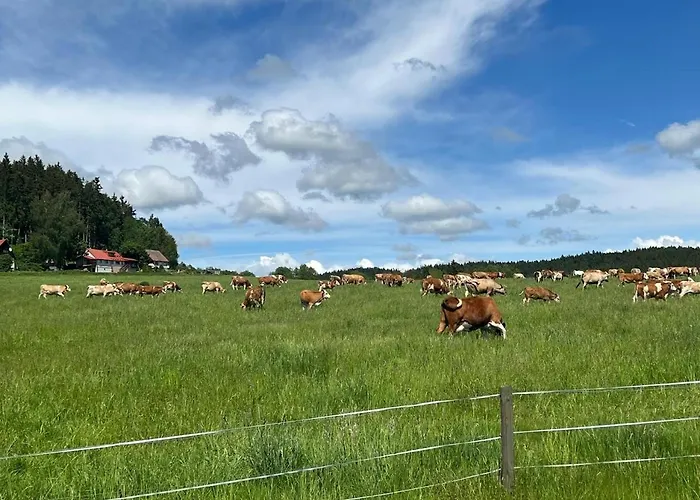 Hnízdo Na Hůrce Prázdninový dům Horní Planá