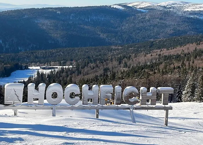 Hnízdo Na Hůrce